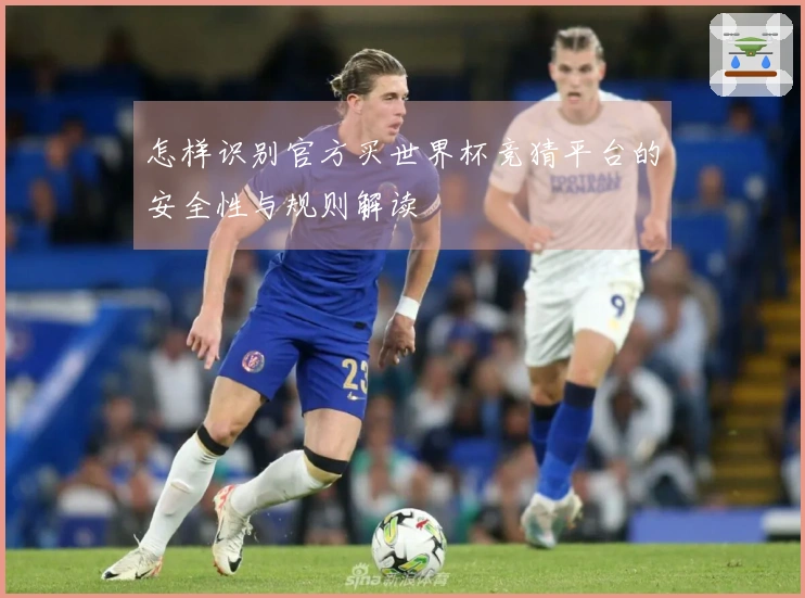 怎样识别官方买世界杯竞猜平台的安全性与规则解读